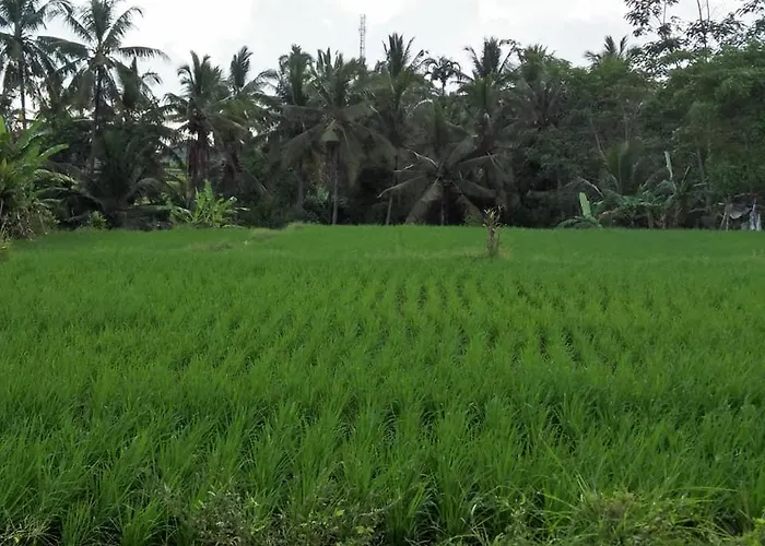 ゲストハウス Majapahit *